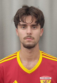 Linhard Zejneli