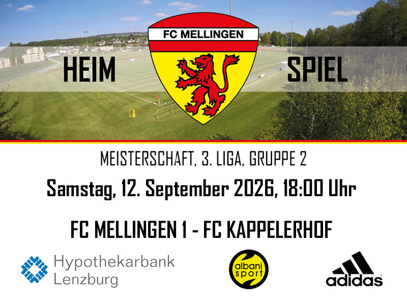 Meisterschaft FC Mellingen - FC Kappelerhof