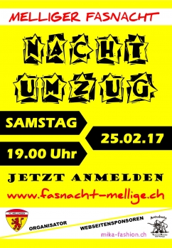 Fasnacht 2017 - Nacht-Umzug & Party